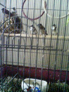 20120624162602.jpg